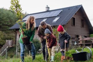 Que faire au mois de janvier ?