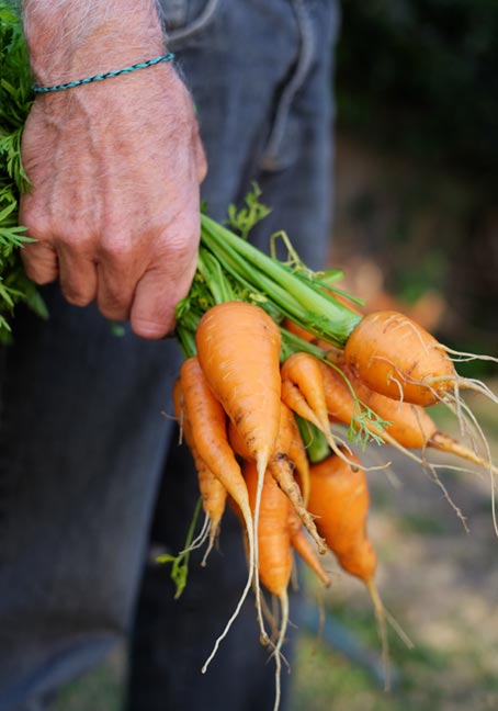 Plateforme de mise en relation avec des producteurs de fruits et légumes locaux.