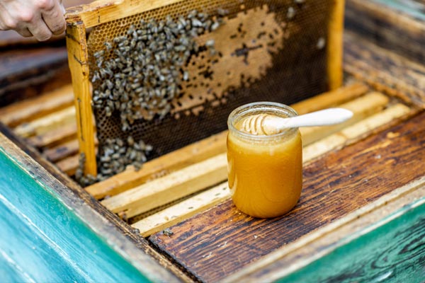 Production de miel