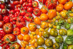 Variétés de tomates