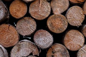 évolution pour le prix du stère de bois