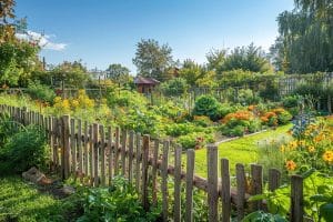 Dix bonnes raisons d'avoir un potager chez soi.