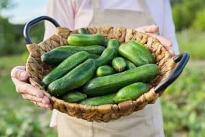 Les fruits et légumes qui hydratent