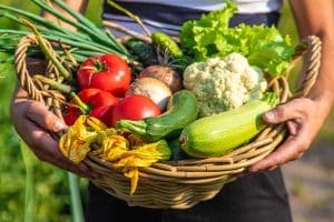 vente surplus de légumes du potager