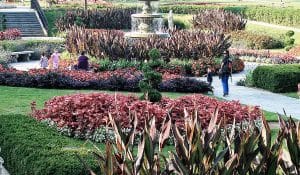 budget d'un paysagiste pour un aménagement de jardin